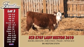 Lot #3 - ECR 5707 LADY HESTON 3610