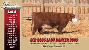 Lot #4 - ECR 8086 LADY DANCER 3009