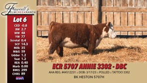 Lot #6 - ECR 5707 ANNIE 3302