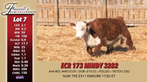 Lot #7 - ECR 173 MINDY 3282