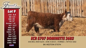 Lot #9 - ECR 5707 DOMINETTE 3682