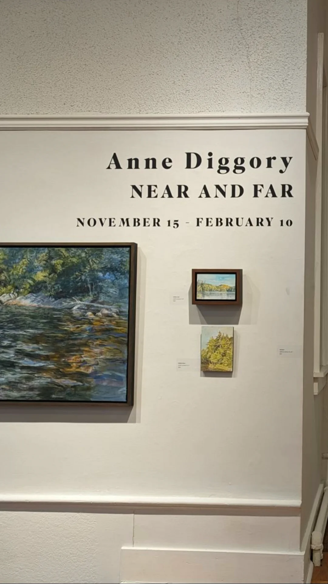 Anne Diggory 