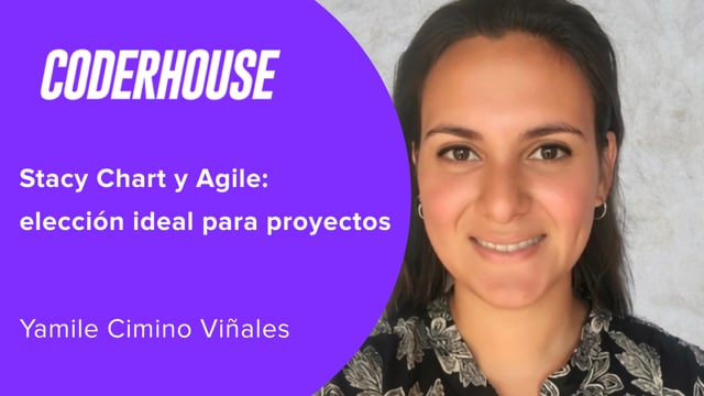 Stacy Chart y Agile: elección ideal para proyectos