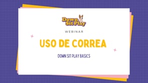 Webinar - correa larga