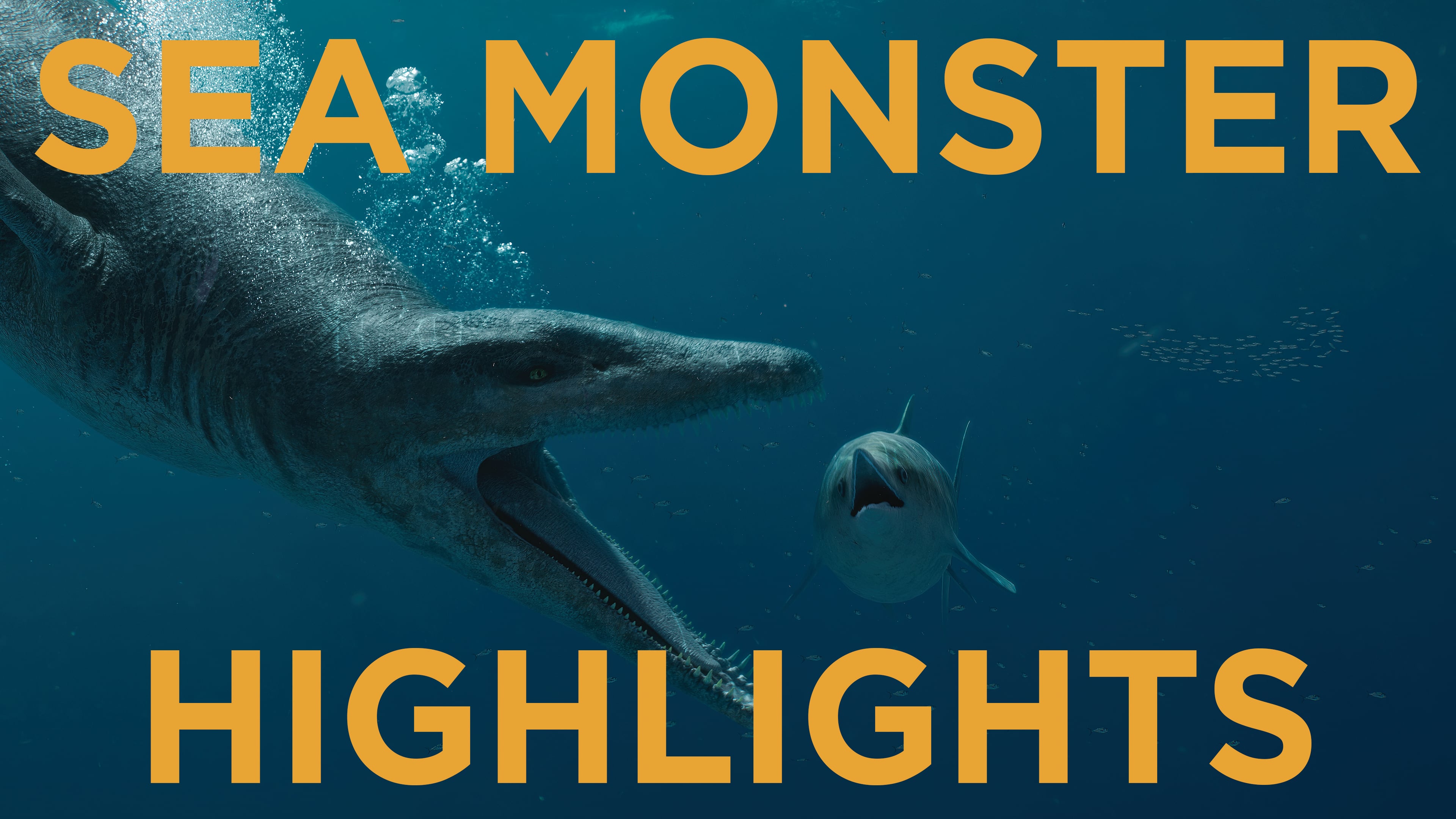 SEA MONSTER SHOWCASE 2024