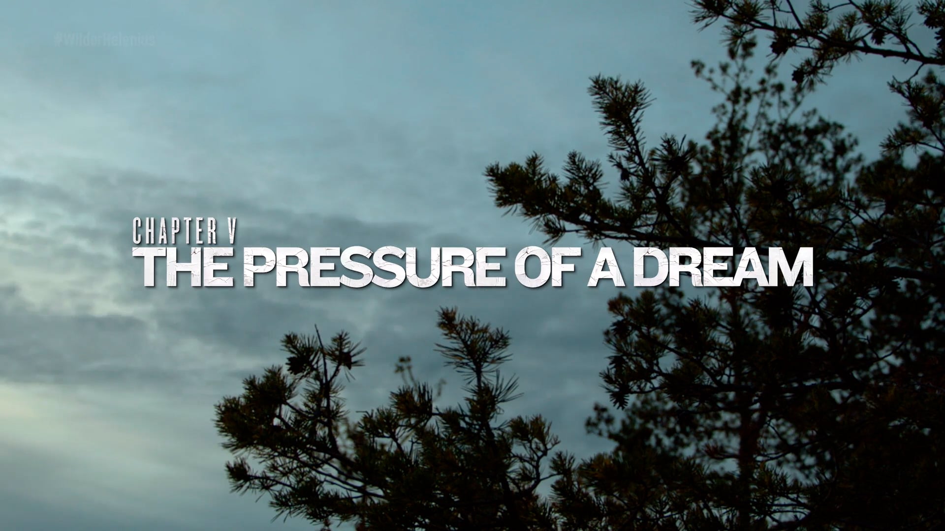 PBC Fight Camp Helenius for Fox