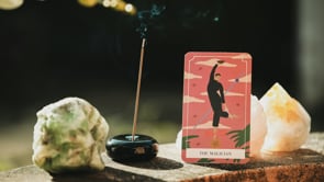 Related Embedded Video Item Thumbnail