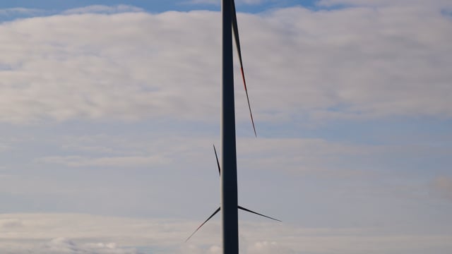 the rotor blade of a wind turbine