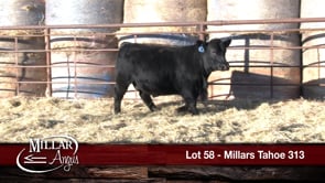 Lot #58 - MILLARS TAHOE 313