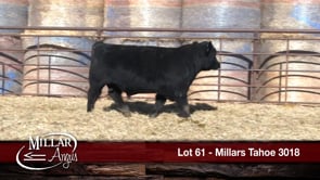 Lot #61 - MILLARS TAHOE 3018