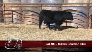 Lot #103 - MILLARS COALITION 3140