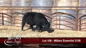 Lot #109 - MILLARS ESSENTIAL 3126