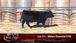 Lot #111 - MILLARS ESSENTIAL 3103