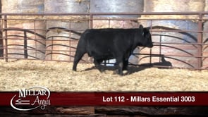 Lot #112 - MILLARS ESSENTIAL 3003