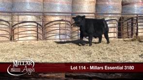 Lot #114 - MILLARS ESSENTIAL 3180