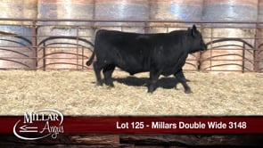 Lot #125 - MILLARS DOUBLE WIDE 3148