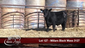 Lot #127 - MILLARS BLACK MASS 3127