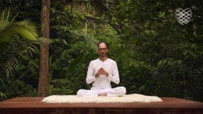 Meditation to Call in Wisdom-Knowledge