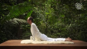 Kriya for Elevation