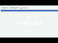 Protocols - Control Plane : Transparent Payload