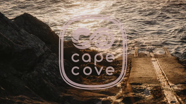 Why We Love Wim Hof – Cape Cove
