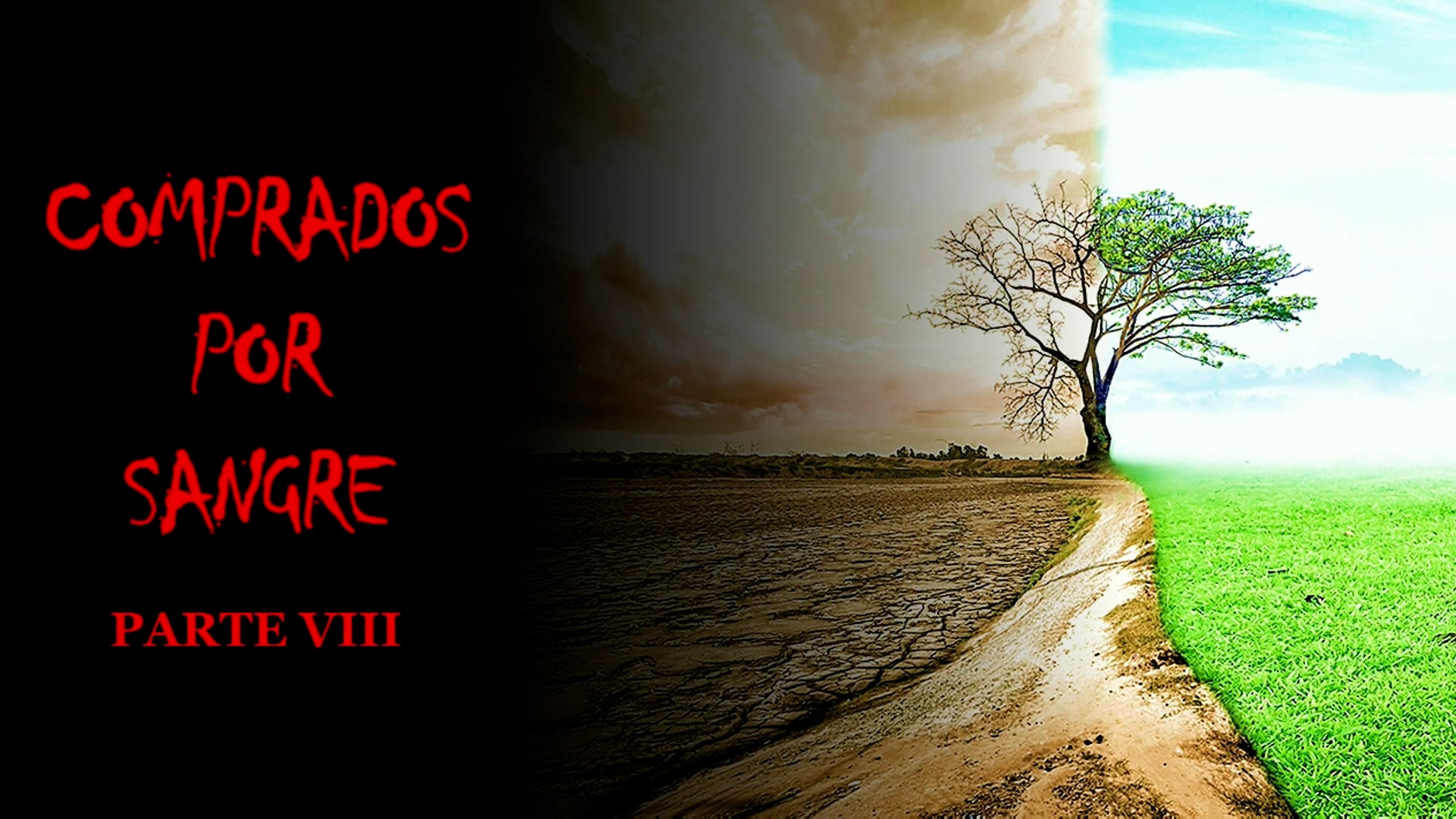 Comprados Por Sangre VIII: Bendiciones y Maldiciones - Hno. Alberto Babun