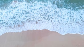 Eddie Castillo ‘The Last Generation’