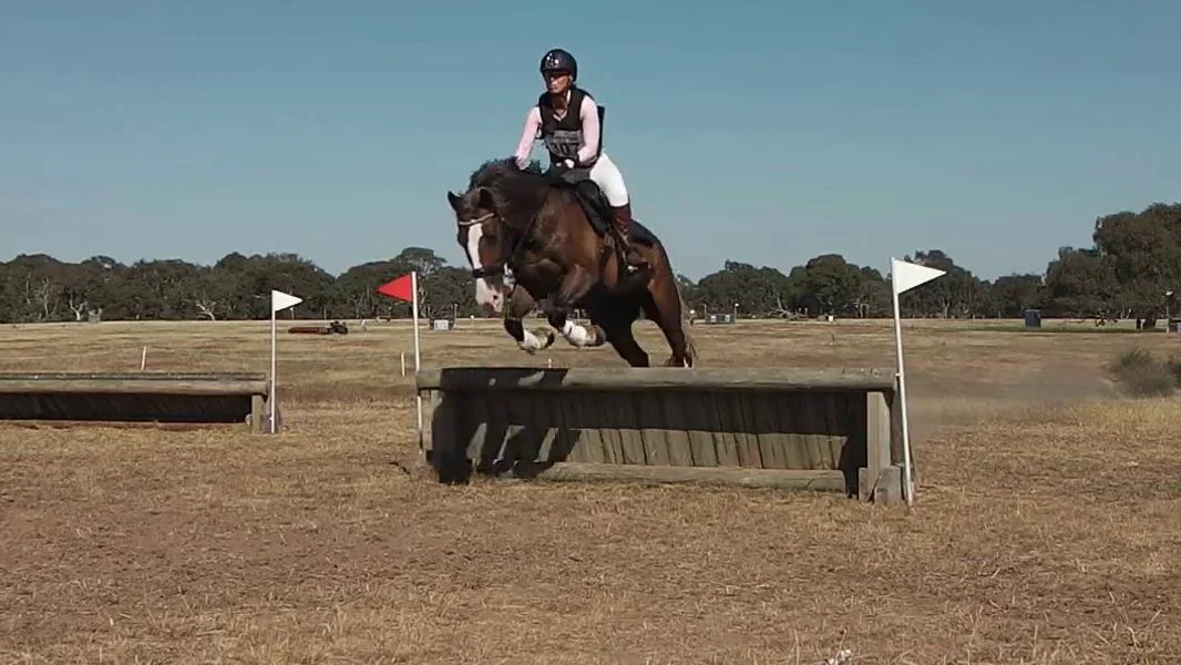 Lauren Lines riding Fluff 307 EvA80 Geelong Horse Trials 2024.mp4 on Vimeo