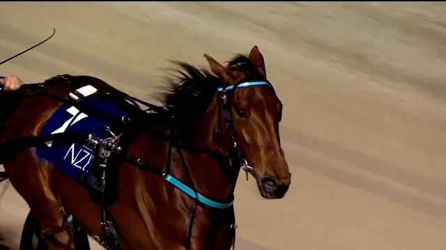2024 NZB Standardbred National Yearling Sale | Harness Million, Steven Reid