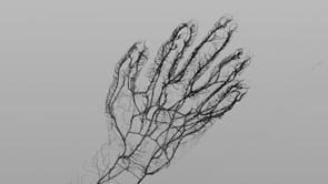 Industry Award for Best Animation at the Raw Science Film Festival 2024! 