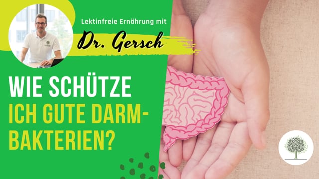 Video: Ist Omnibiotic lektinfrei? Oder gibt es eine Alternative bei Antibiotika-Gabe, um die guten Darmbakterien zu schützen bzw. wiederherzustellen? 