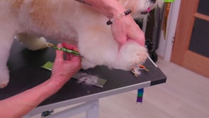 Micrpbite 3 - Chuckie gently scissors in the front leg on a bandy dog to give the illusion of a straight leg