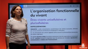 video : etres-vivants-unicellulaires-et-pluricellulaires-4039