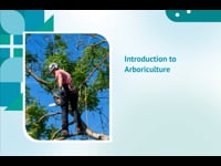 Introduction to Arboriculture and Tree Management