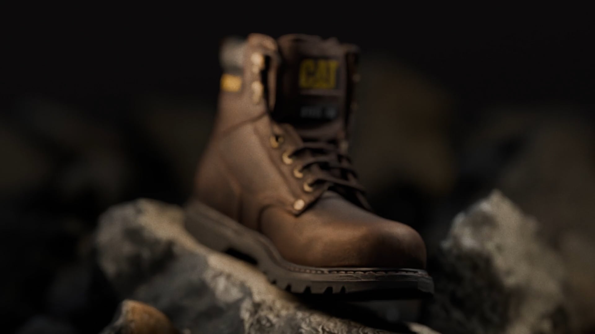 CAT Video Promo by Paleta