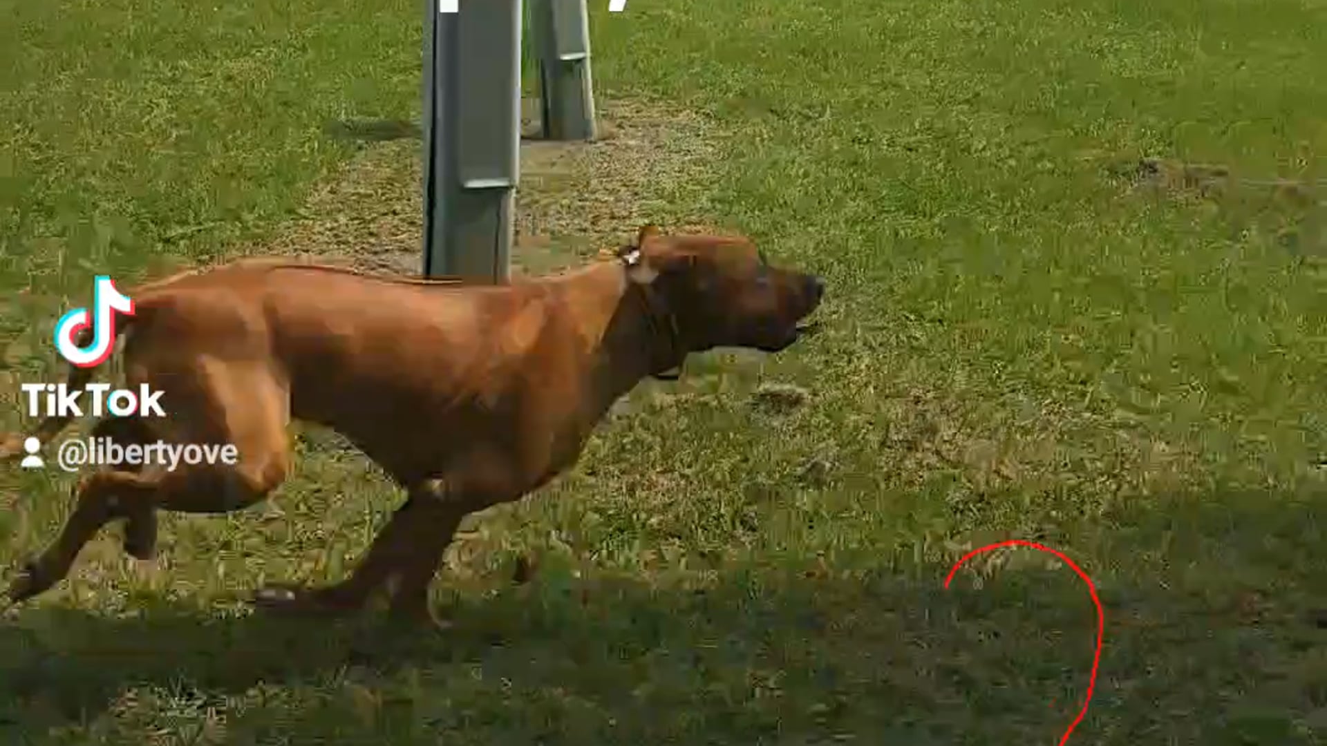 2023-05-28-192346740