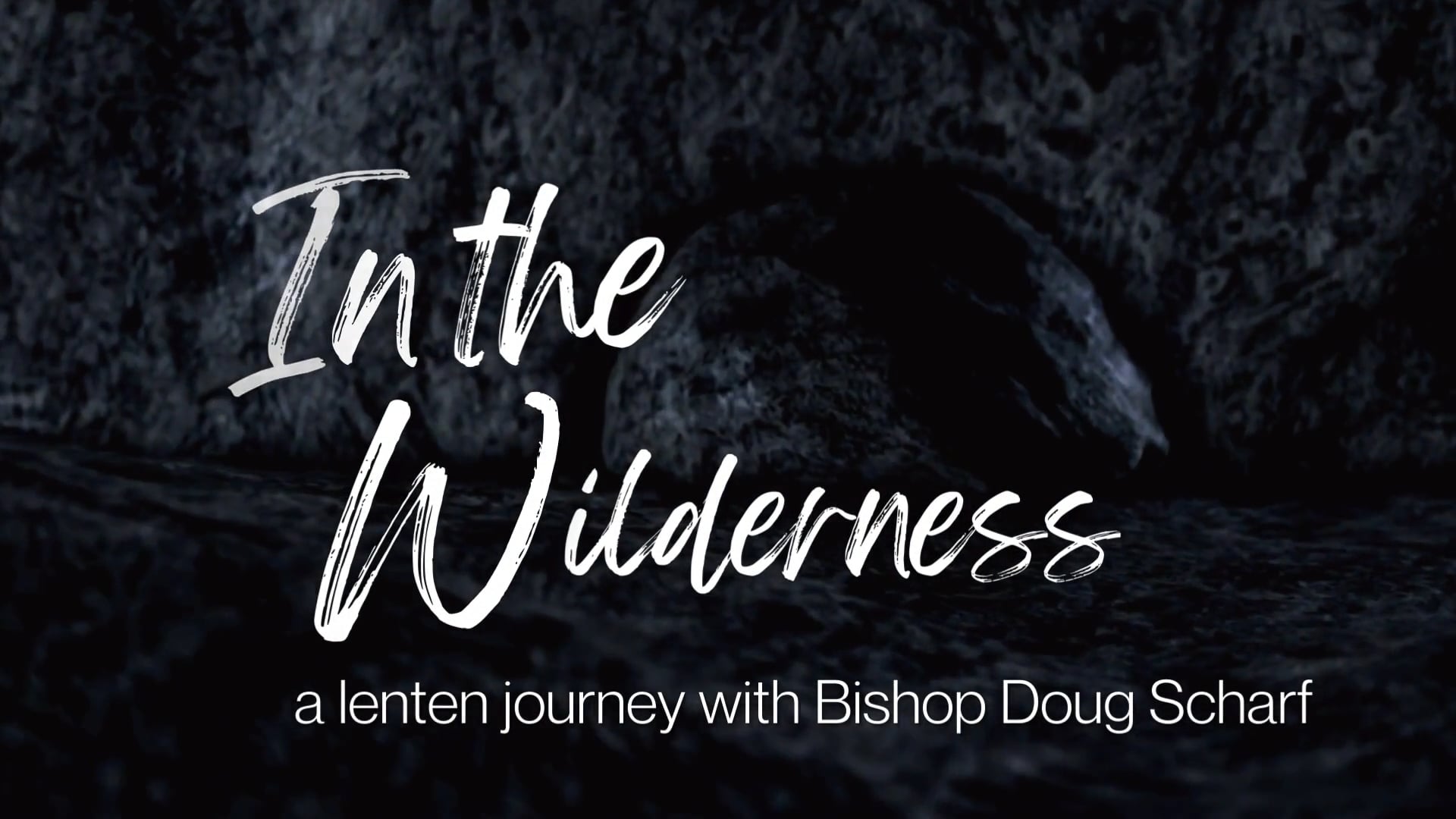 In the Wilderness -Ash Wednesday