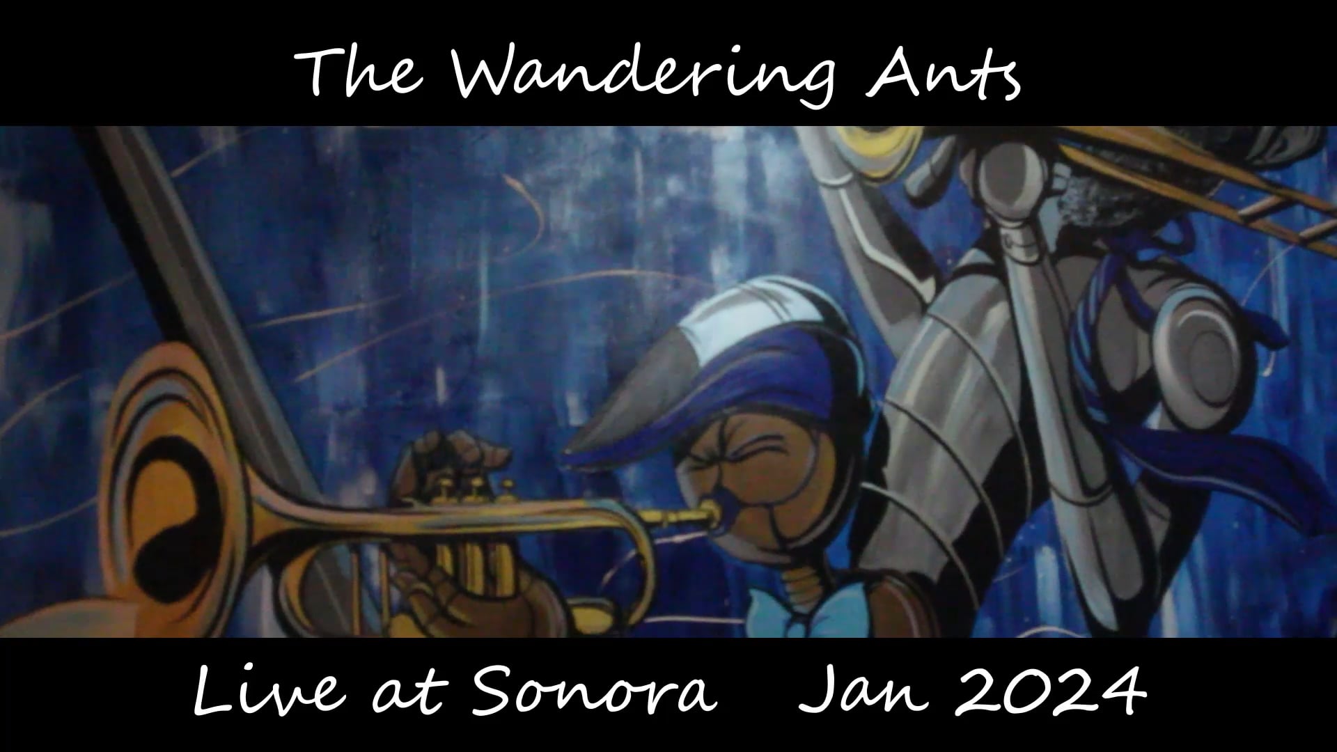 Wandering Ants Sonora Jan 2024 Teaser Video On Vimeo   1798528610 5a370e78cf092d995c9d8756b1af58f773675f7d1166db6f411aa155f43b8273 D