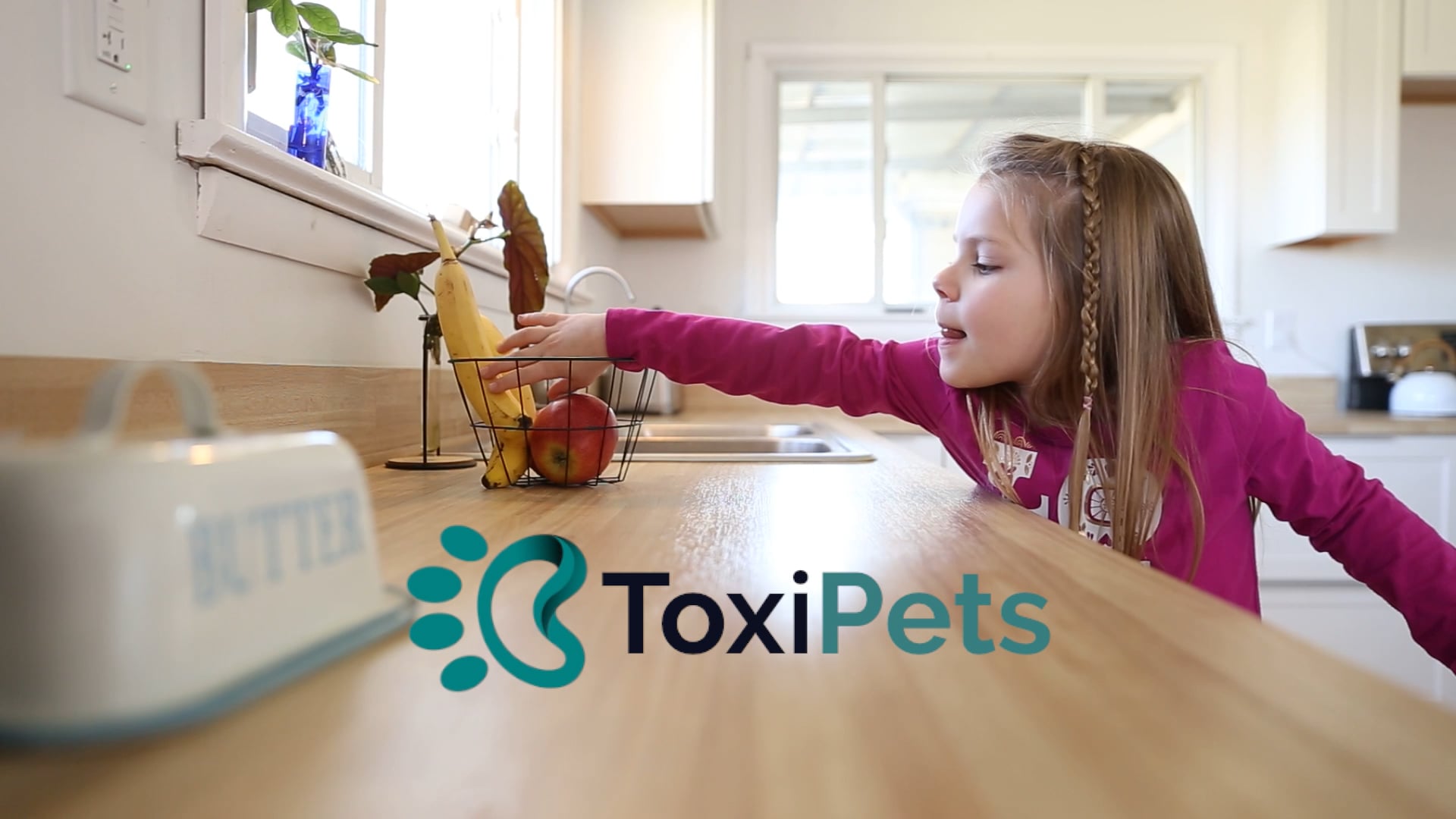 ToxiPets