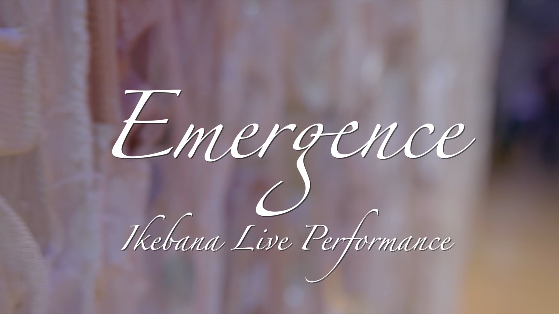 Ikebana live at PNCA Emergence 2024