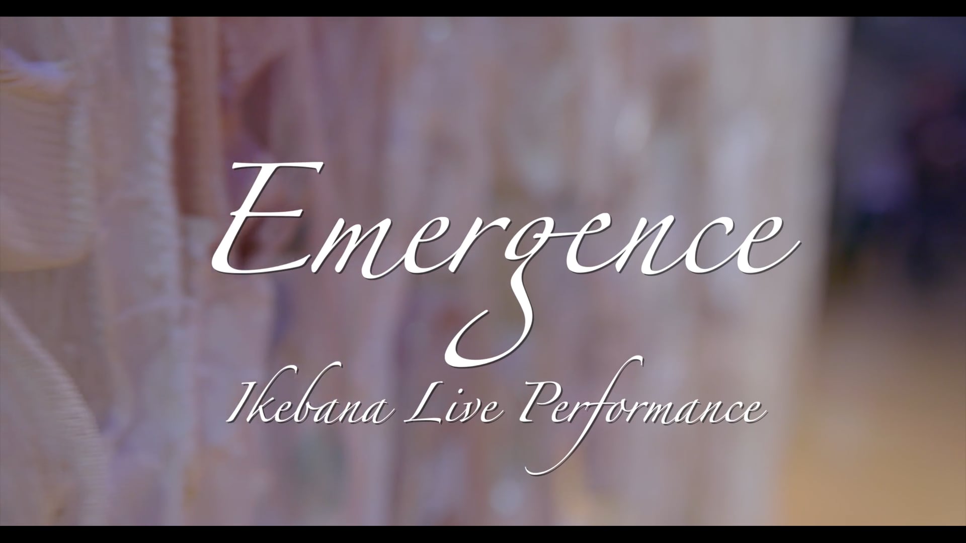 Ikebana live at PNCA Emergence 2024