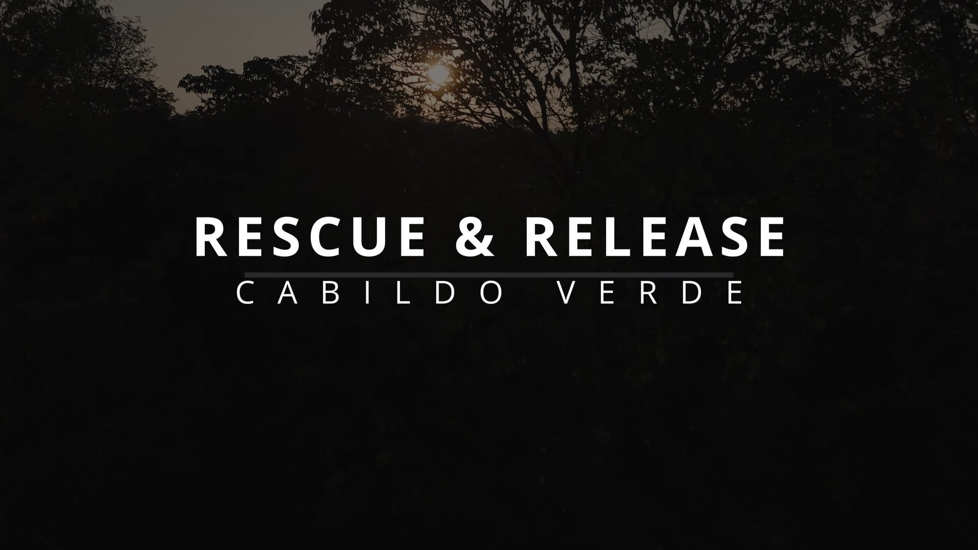 Cabildo Verde - Rescue & Release - English subs