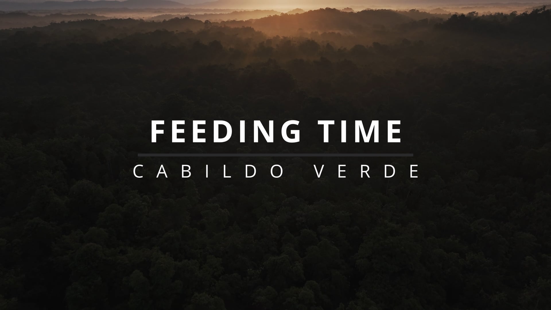 Cabildo Verde - Feeding Time - English
