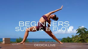 DEALITE: BEGINNERS SUN A & B