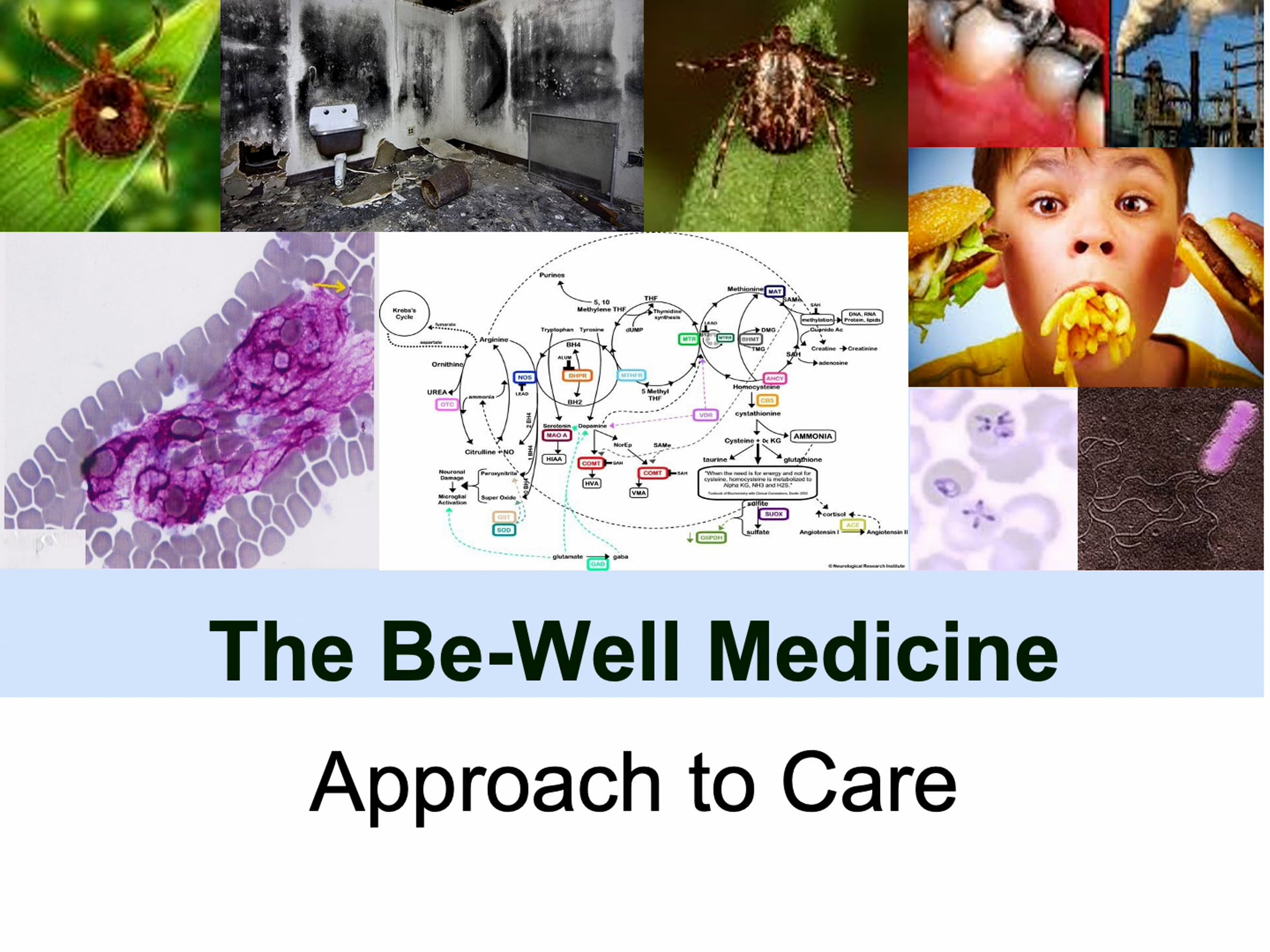 Be-Well Approach to Care.mp4 | Videos & Movies on Vimeo