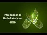 Foundations of Herbal Medicine