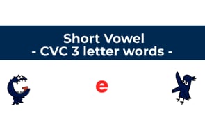 Related Embedded Video Item Thumbnail