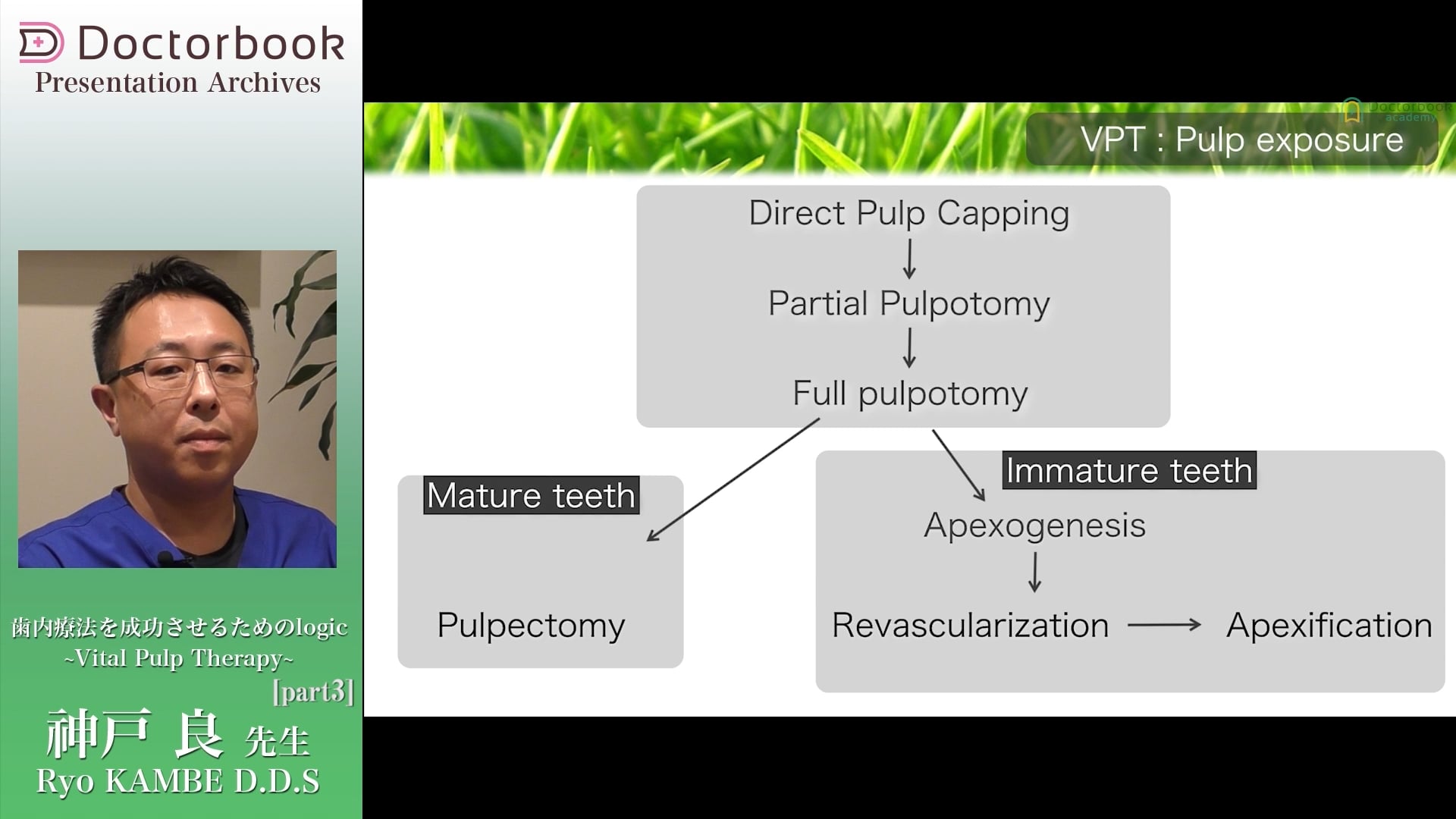 臨床知見録_診査・診断_VPTの診断チャート