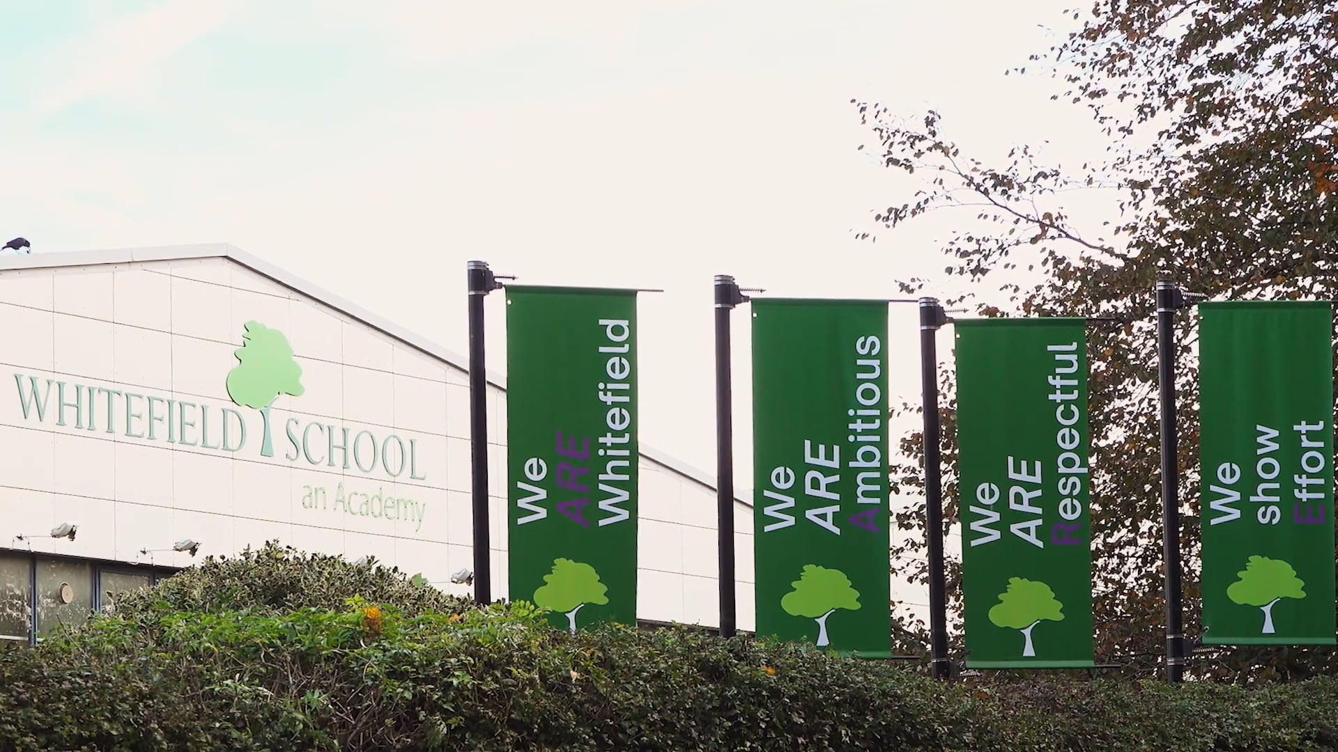 Whitefield School Video