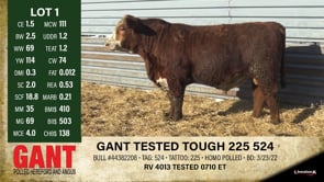 Lot #1 - GANT TESTED TOUGH 225 524